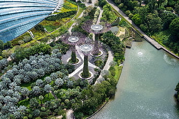 zahrady u zálivu, singapore, mezník, supertree háj, zahrada, Příroda, turistická atrakce, park, umění, moderní, Asie
