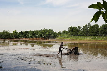 agriculture, farmer, tillage, countryside, outdoors
