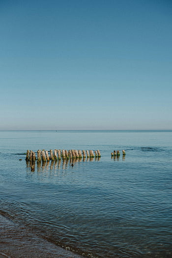 brown wooden logs, sea, tranquil ocean, weathered wooden posts, clear blue sky, serene travel, ocean scene, calm water, beach landscape, natural scenery, peaceful setting