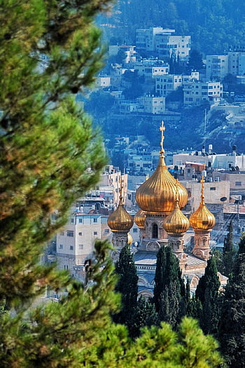 εκκλησία της Μαρίας Μαγδαληνής, ορθόδοξη εκκλησία, Ιερουσαλήμ, ιερή γη, διασχίζω, Χριστιανός, αρχιτεκτονική, πεύκα, πόλη, ιστορικός
