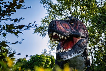 dinosaurios, jurásico, prehistoria, animales, reptiles, naturaleza, antiguo