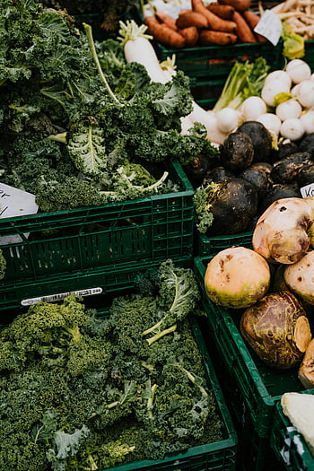 fresh vegetables, green plastic crate, organic vegetables, market, Erfurt, Germany, assorted vegetables, plastic crates, kale, turnips, beets