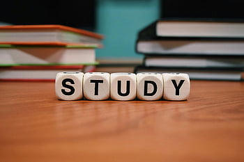 studere terninger, grå terninger, tre pult, stablet bøker, utdanning, læring, Studieblokker, nærbilde, Studiekonsept, skrivebord setup, Studieverktøy