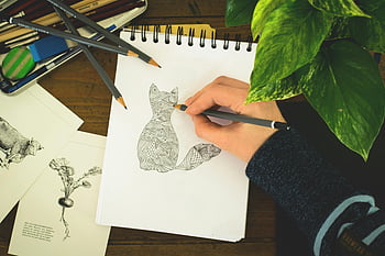 person sketching cat, close-up hand drawing, detailed cat design, notepad, art supplies, plants, pencil sketch, artistic workspace, creative process, indoor art scene, hand-drawn illustration
