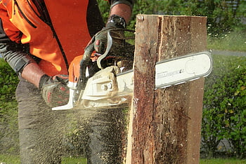 lumberjack, chainsaw, cutting tree, professional equipment, safety gear, outdoor work, tree trunk, forestry, wood cutting, Stihl chainsaw, protective clothing