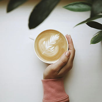 cappuccino, sztuka latte, biały kubek ceramiczny, Przytulna scena, trzymanie ręki, zielone liście, białe tło, filiżanka kawy, latte, sztuka kawy, poranna kawa