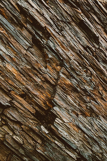 tree bark, close-up shot, wood texture, nature patterns, rugged surface, detailed view, tree surface, natural textures, bark patterns, tree close-up, wood grain