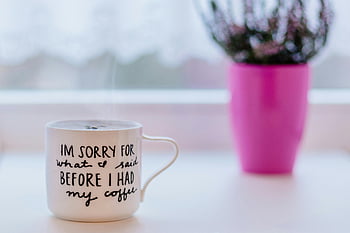 tazza in ceramica bianca, caffè fumante, testo umoristico, pentola a pianta rosa, impostazione interna, tavolo bianco, foto di messa a fuoco, caffè del mattino, Atmosfera accogliente, arredamento interno, umorismo del caffè