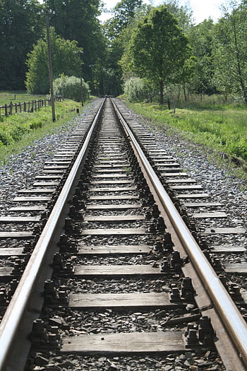 railroad tracks, forest, trees, railway tracks, dense green forest, travel themes, nature themes, train tracks, wooded area, outdoor scenery, railway journey
