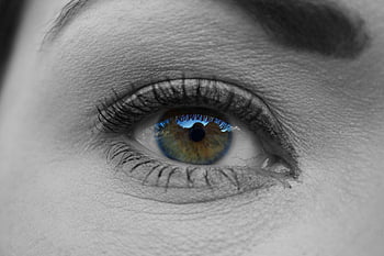 grayscale photography, woman's eye, macro shot, colorful iris, detailed eyelashes, vision, beauty, close-up, human eye, black and white, eye detail