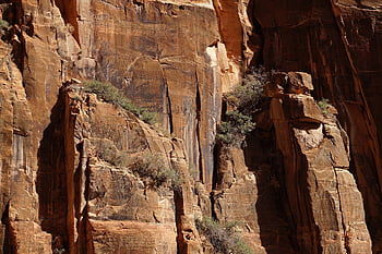 montagne, Sion, paesaggio, natura, Utah, panoramico, all'aperto, arenaria, pietra, sud-ovest, roccia
