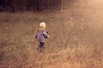 child walking, grass path, young child, grassy field, sunset, outdoor play, freedom, nature, autumn, scenic, adventure