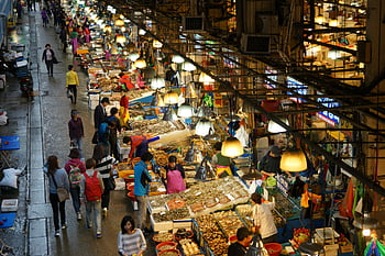 mercato del pesce, mercato umido, Gorontalo, Indonesia, attività vivace, commercio vivace, frutti di mare diversi, gente che fa compere, bancarelle, Atmosfera di mercato, scena di mercato