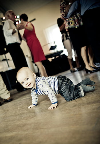 peuter kruipen, baby kruipen, Indoor sociale bijeenkomst, schattige baby, verdieping, levendige bijeenkomst, peuter op de vloer, baby op de vloer, Binnengebeurtenis, kruipende baby, sociaal evenement