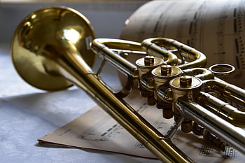 trumpet, wind Instrument, instrument, brass Instrument, valves, lying, bell