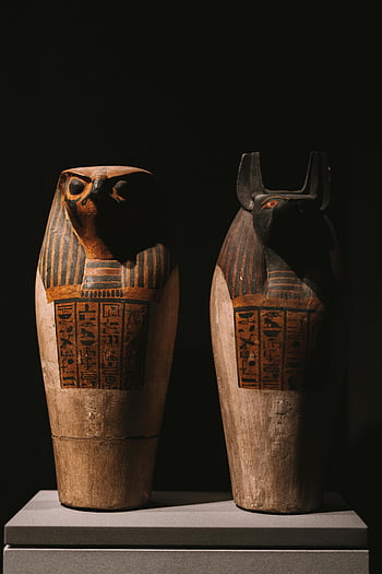 Guci kanopi Mesir, Artefak Mesir Kuno, tampilan museum, seni mesir, guci kanopi, mesir kuno, Pengaturan Museum, Sejarah Mesir, budaya mesir, artefak kuno, museum mesir