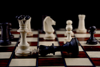 scacchi, gioco da tavolo, natura, strategia, scacchiera, re, tattica, cavallo, Torre, pezzi degli scacchi, Concedere