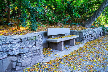 szürke pad, nyugodt erdőpark, kő pad, lehullott levelek, nyugodt szabadtéri menekülés, őszi levelek, pad a parkban, szabadtéri ülések, természet jelenet, békés környezet, kő fal