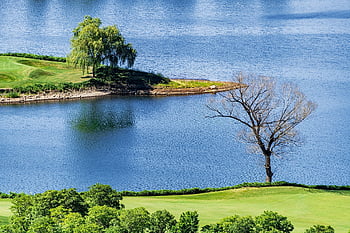 lake, lakeshore, island, lakeside, scenery, nature