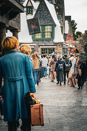 hogwarts, harry Potter, fantastic Beasts
