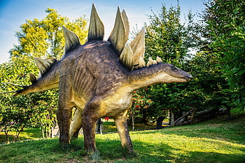 dinosaurus, alam, saurian, prasejarah, hewan, berkeluyuran, punah, jurassic, taman