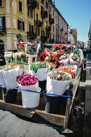 flowers, truck, Milan, flower market, vibrant bouquets, lively streets, assorted flowers, street market, floral display, outdoor market, Italian market