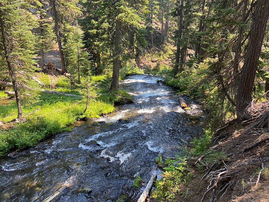 Fall Creek, tři sestry divočiny, centrální oregon, Pacifický Severozápad, krajina, stezka, túra, venku, les, řeka, Příroda