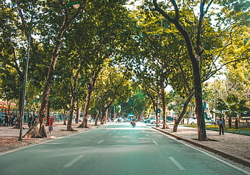 ulice, Hanoi, Vietnam, Asie, vietnamština