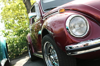 maroon vehicle, parked beside tree, classic maroon beetle, vintage car, sunlight, close-up, car enthusiasts, maroon beetle car, outdoor setting, classic car, maroon car