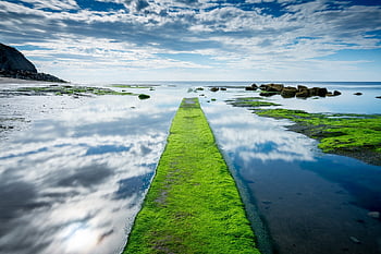 seashore, seaside, rocks, ocean, reflection, seaweed, nature, coastline, horizon, whitby, jetty