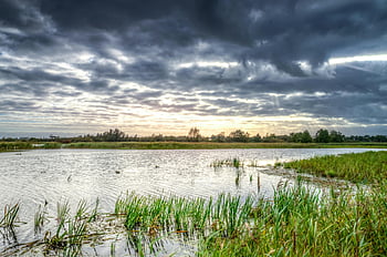 le marais, lever du soleil, l'eau calme, ciel dramatique, scène serein, nuages ​​noirs, plan d'eau, Paysage naturel, paysage extérieur, environnement paisible, vue sur les zones humides