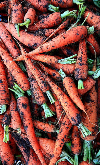 vegetables, carrots, food, costs, organic, agriculture, eat, vitamins, vegetarians, health, harvest