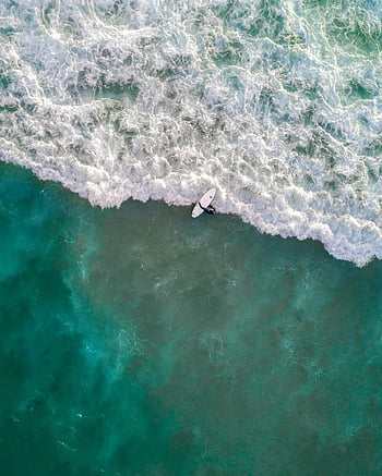 surfing, Bondi Beach, luftskott, surfare, vågor, Australien, hav, surfingbräda, kust, strand, vattensport