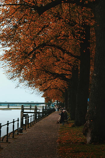 autumn scene, river walkway, vibrant fall foliage, serene water views, people sitting on bench, autumn trees, fall colors, waterfront path, scenic river view, peaceful autumn day, outdoor relaxation