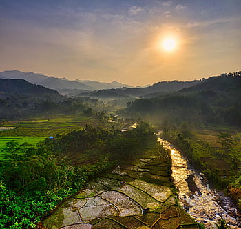 flybilde, risåker, ris terrasser, Vest-Java, indonesia, soloppgang, landskap, natur, jordbruk, scenisk, landsbygda