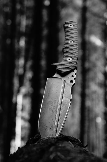 knife, beautiful Wallpaper, forest, adventure, wilderness, trees, cut, excellent, background, the Process, manually