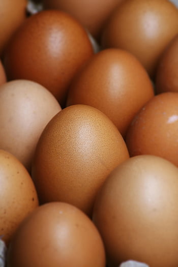 eggs, ingredients, baking, food, egg Carton, raw, cooking, healthy, eggshells, protein, whisk
