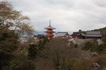 Kuil, menara, kota, bangunan, kota Tua, bangunan tua, pohon, Desa, Jepang, 일본 여행, 탑