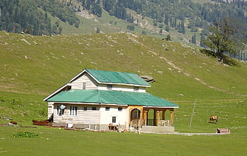 sonamarg, hill Station, landscape, meadows, vacation, kashmir, himalayas, india