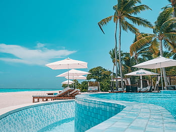 Tropical Beach Resort, nekonečný bazén, palmy, pobřeží oceánu, slunečníky, lehátka, Konečná relaxace, tropické dovolené, beachfront nemovitost, luxusní resort, Relaxace u bazénu