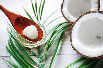 kokosový ořech, detail, organický kokosový olej, vařečka, čerstvý kokos, palmové listy, kokosový olej, kokosová skořápka, přírodní ingredience, zdravé jídlo, tropické ovoce