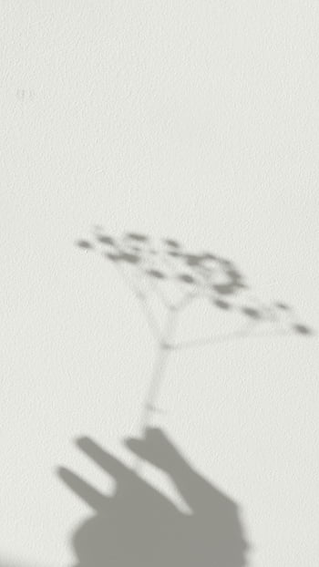 shadow, hand, plant, light, wall, background, artistic, shadow art, hand holding plant, minimalist, photography