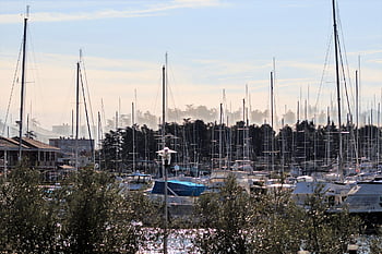 jachthaven, haven, zeilboten, jachten, nautische, het zeilen, masten, zeegezicht, boten, Adriatisch, Kroatië