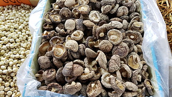 mushroom, harvest, vegetable, fungus, toadstool, shiitake Mushroom, healthy, vegetarian, ingredients, shiitake, food