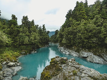 Kokatahi River, West Coast, New Zealand, dense forest, peaceful river, flowing water, natural landscape, scenic view, outdoor beauty, river valley, forested area