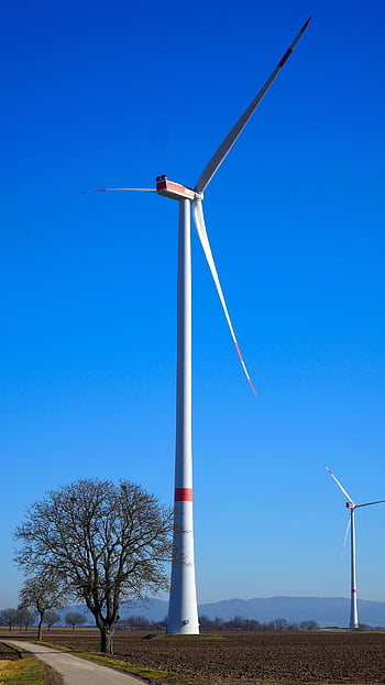 moara de vant, copac, peisaj, cer, energie eoliana