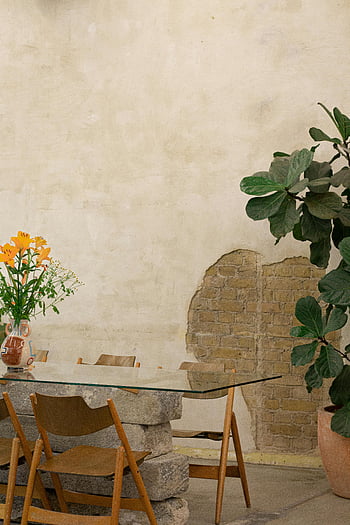 tavolino da caffè, piano in vetro, sedie di legno, pranzo rustico, pianta in vaso, Setup interno, affascinante rustico, installazione da pranzo, tavolo di vetro, mobili di legno, arredamento interno