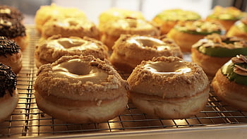 dessert, donuts, food, doughnuts, cake, bakery, calories, pastries, treat, snack, sweet