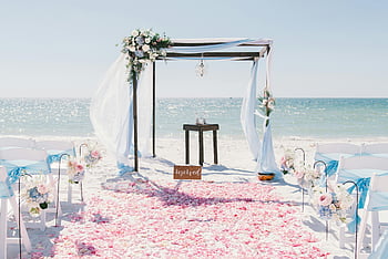 beach wedding, floral decorations, ocean view, elegant setup, wedding arch, pink rose petals, white chairs, reserved sign, beach ceremony, wedding flowers, seaside wedding