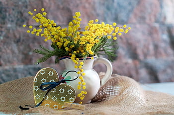 flowers, mimosa, vase, beautiful Flowers, heart, love, gift, present, hd Wallpaper, gift Box, package